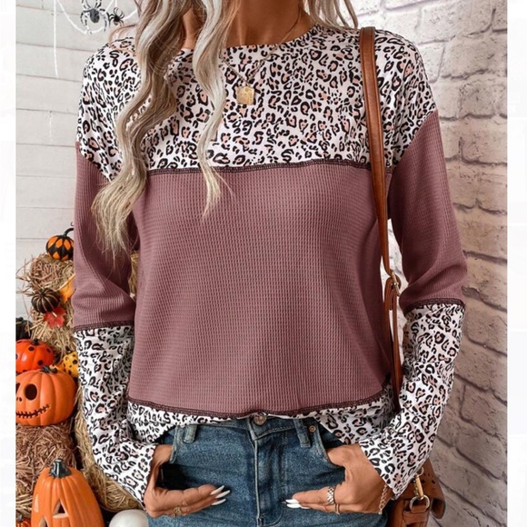 🆕NEW🛍️Animal Print Colorblock Top 🐾 - Picture 1 of 5